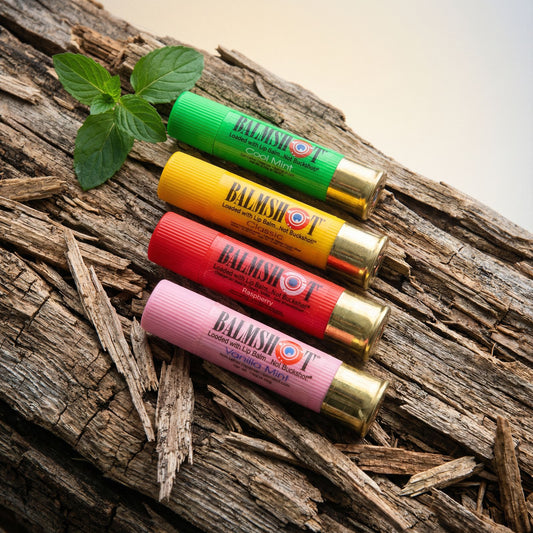 4-Pack Bestsellers Variety Pack - $5.50 each (SAVE 15%)